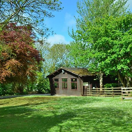 31 Tudor Court, Tolroy Manor ヘイル エクステリア 写真